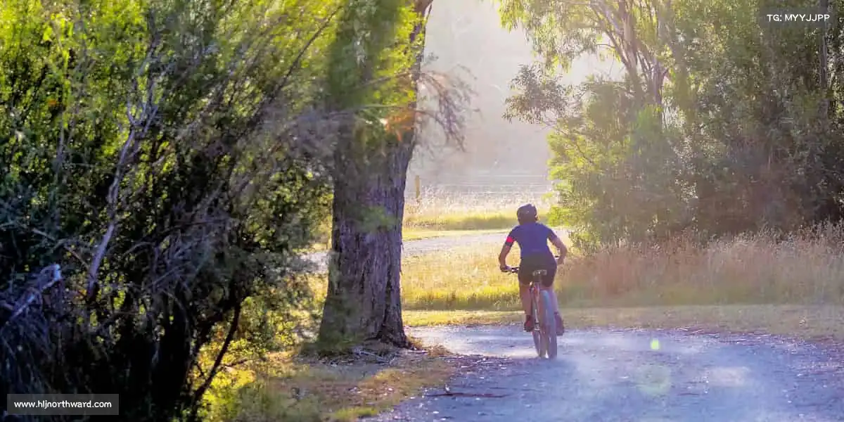 南宫NG28🏃♂️运动不止,热爱不息 —— 你的体育主场,等你点燃!